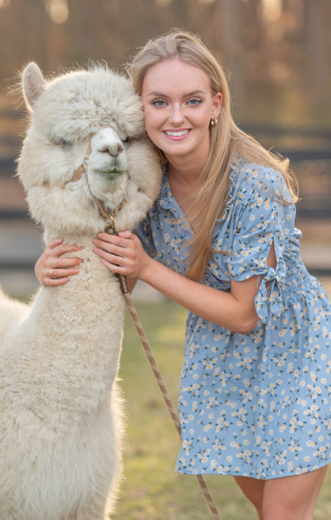 girl hugging an alpaca close to her face, they are both looking at the camera during a high school senior session with alpacas en atlanta georgia